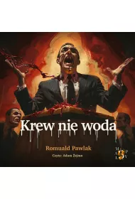 Audiobook Krew nie woda mp3