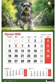 Kalendarze �cienne Kalendarz tr�jdzielny 2026 jednodzielny KTJ-2
