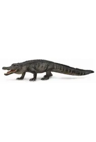 Aligator ameryka�ski