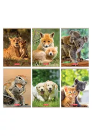 Herlitz Zeszyt A5 Animals mix dwie linie 32 kartki