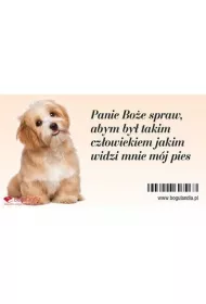 Bogulandia Magnes na lod�wk� - Panie Bo�e spraw, abym by�?