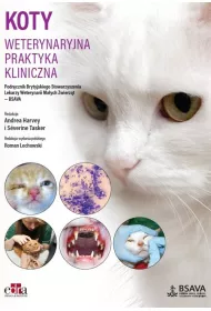 Koty. Weterynaryjna praktyka kliniczna
