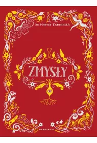 Zmysy