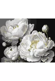 Metallic extra Malowanie po numerach - Nieskazitelne pi�kno z metalicznymi farbami 40x50cm 1 szt.