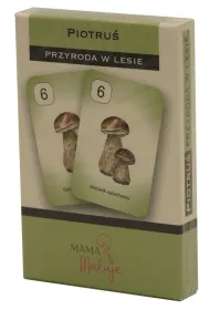 Karty Piotru� Przyroda w lesie