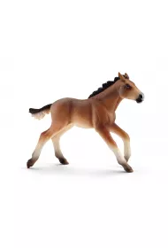 �rebie Mustang