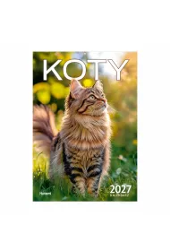 Kalendarz 2027 �cienny A4 Koty
