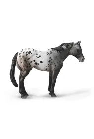 Niebieski Deresz Appaloosa