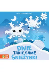 Audiobook Dwie takie same nieynki mp3