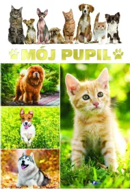 M�j pupil