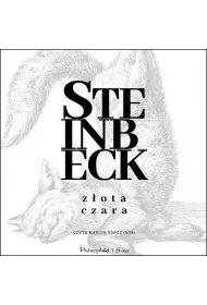 Audiobook Zota Czara mp3