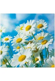 Paw Serwetki Lunch Tete a Tete Sun Daisies 33x33 20szt./op.
