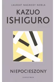 eBook Niepocieszony mobi epub