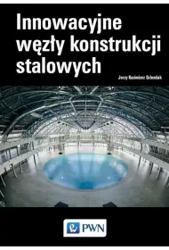 Innowacyjne w�z�y konstrukcji stalowych