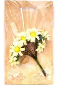 Galeria Hobby Margerytki materia�owe