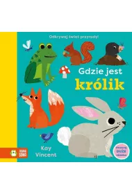 Gdzie jest krlik