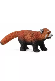 Panda czerwona