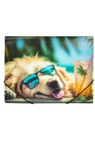 Panta Plast Teczka A4 PP z nadrukiem Chillout Dog