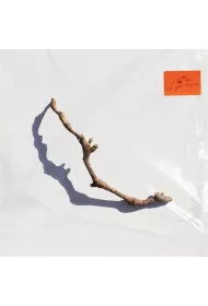 I Inside the Old Year Dying (CD)