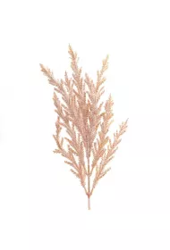 Dalprint Ga��zka trawy pampasowej 32 cm.kremowo-pudrowe.