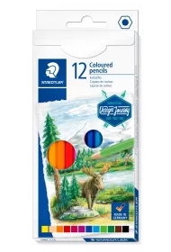 Staedtler Kredki owkowe Design Journey, szecioktne 12 szt.