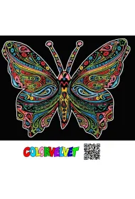 Kolorowanka Welwetowa 47x35 cm Motyl