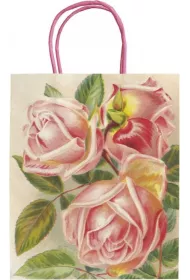 Skona Ting Torebka ozdobna A5 STBAG140 R�owe r�e