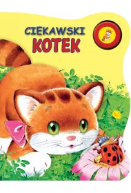 Ciekawski Kotek