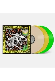 Acoustic Gizzard - Live In Detroit 2024 (vinyl)