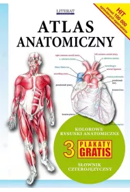 Atlas anatomiczny