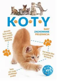 Koty %