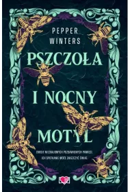 Pszczoa i nocny motyl. Destini Chronicles. Tom 1