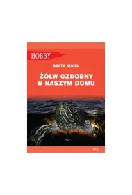 ��w ozdobny w naszym domu