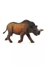 Megacerops