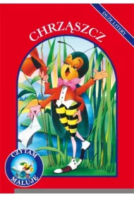 Chrz�szcz. Czytam, maluj�. Du�e litery