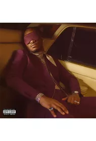 I NEVER LIKED YOU (vinyl)
