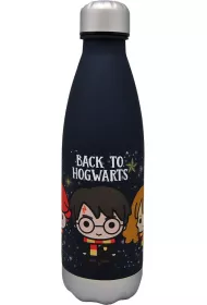 Butelka Harry Potter 650 ml