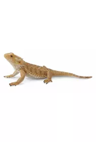 Jaszczurka dragon
