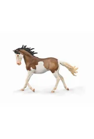 Klacz Mustang ma�ci Bay Splash Overo