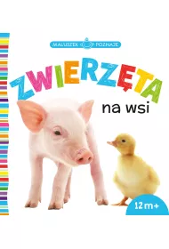 MALUSZEK POZNAJE Zwierz�ta na wsi