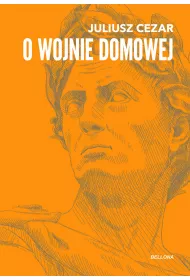 O wojnie domowej