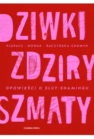 Dziwki, zdziry, szmaty. Opowie�ci o slut-shamingu