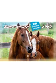 Kalendarz 13 planszowy A4 Konie w plenerze LUCRUM  WL10