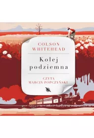 Audiobook Kolej podziemna mp3