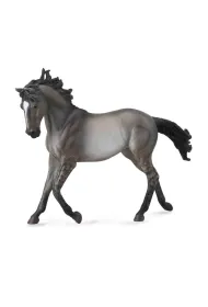 Ko� Mustang Mare-Grulla
