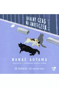 Audiobook Idealny czas na smuteczek mp3