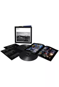 The Best Of The Later Years 1987-2019 (vinyl)