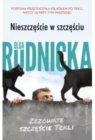 Nieszczcie W Szczciu