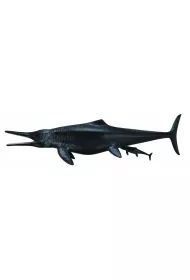 Dinozaur Temnodontozaur
