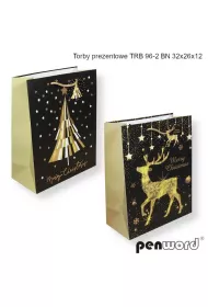 Penword Torebka prezentowa BN 32x26x12cm MIX